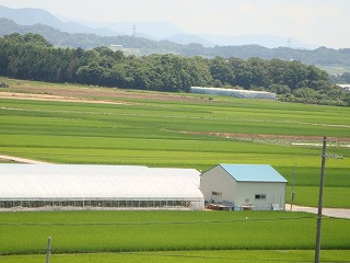 田園